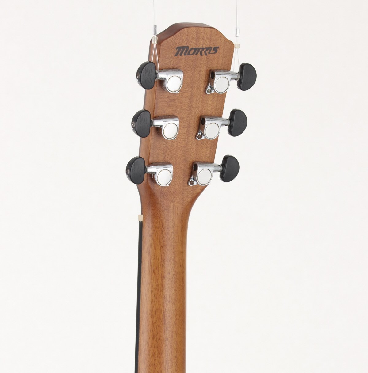Morris S-70 NAT 【新宿店】（中古/送料無料）【楽器検索