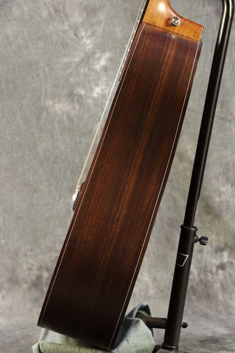 Selva SD1000S Natural Solid Sitka Spruce Top / Rosewood