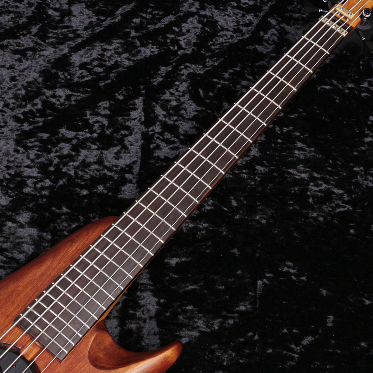 ATLANSIA Bohemian 5st Bass Brown【新宿店】（新品/送料無料）【楽器