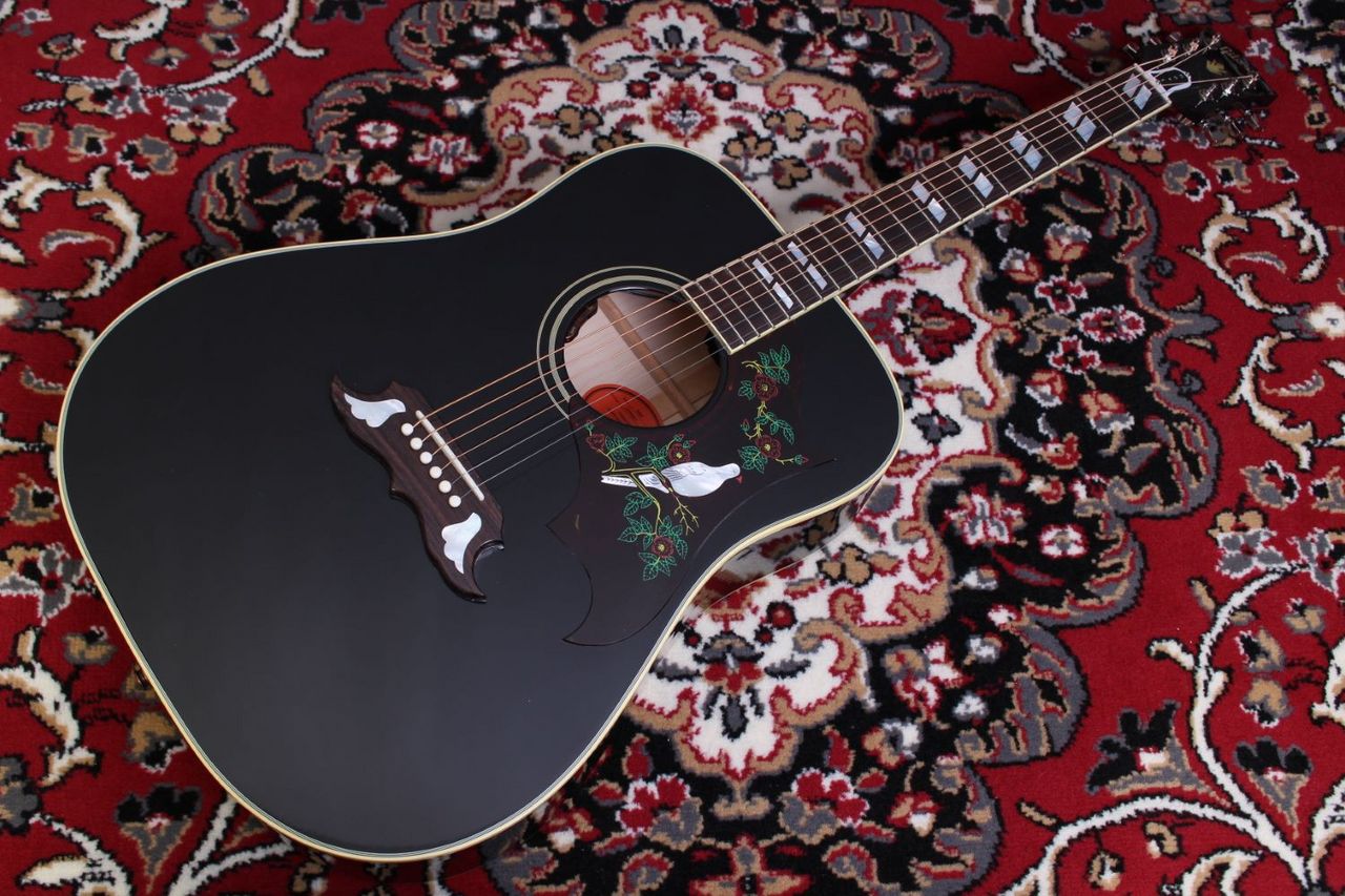 Gibson Dove Original Ebony【現物写真】（新品/送料無料）【楽器検索