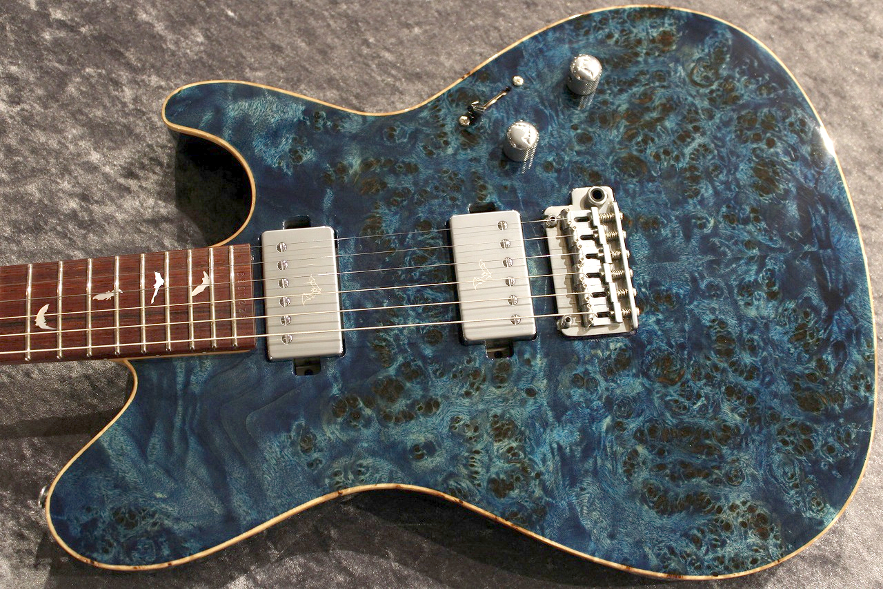 Sugi 20th Anniversary Limited Logo DH496C POP/TT/H-MAHO Royal Blue 