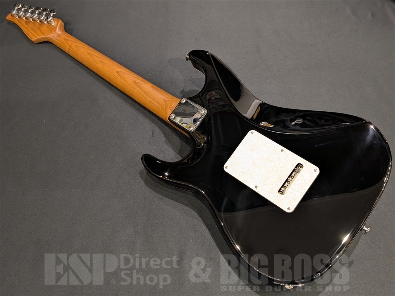 Suhr Standard Plus Matching Head / Faded Trans Wine Red