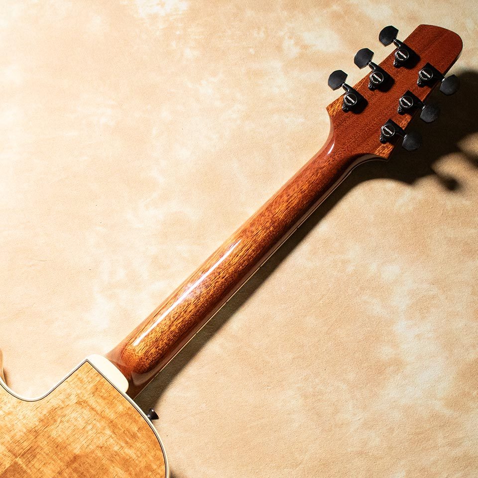 Kikuchi Guitars Archtop MF15S 2025 Ltd Exotic Blackwood（新品