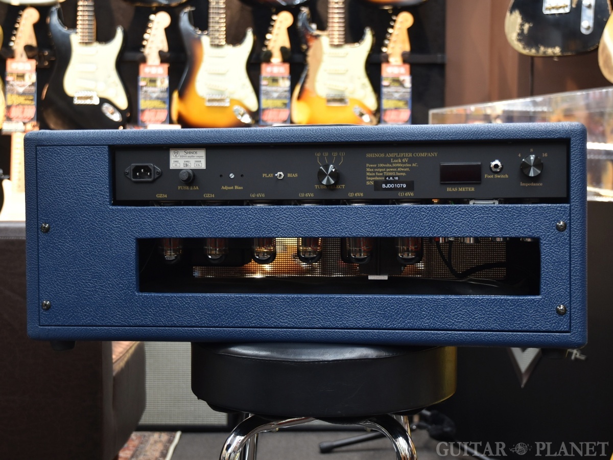 SHIINOS Luck 6v ''Tremolo&Reverb'' Head -Blue Tolex
