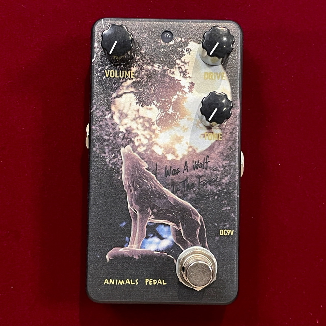 Animals Pedal 036 I Was A Wolf In The Forest Distortion by 朝倉 涼