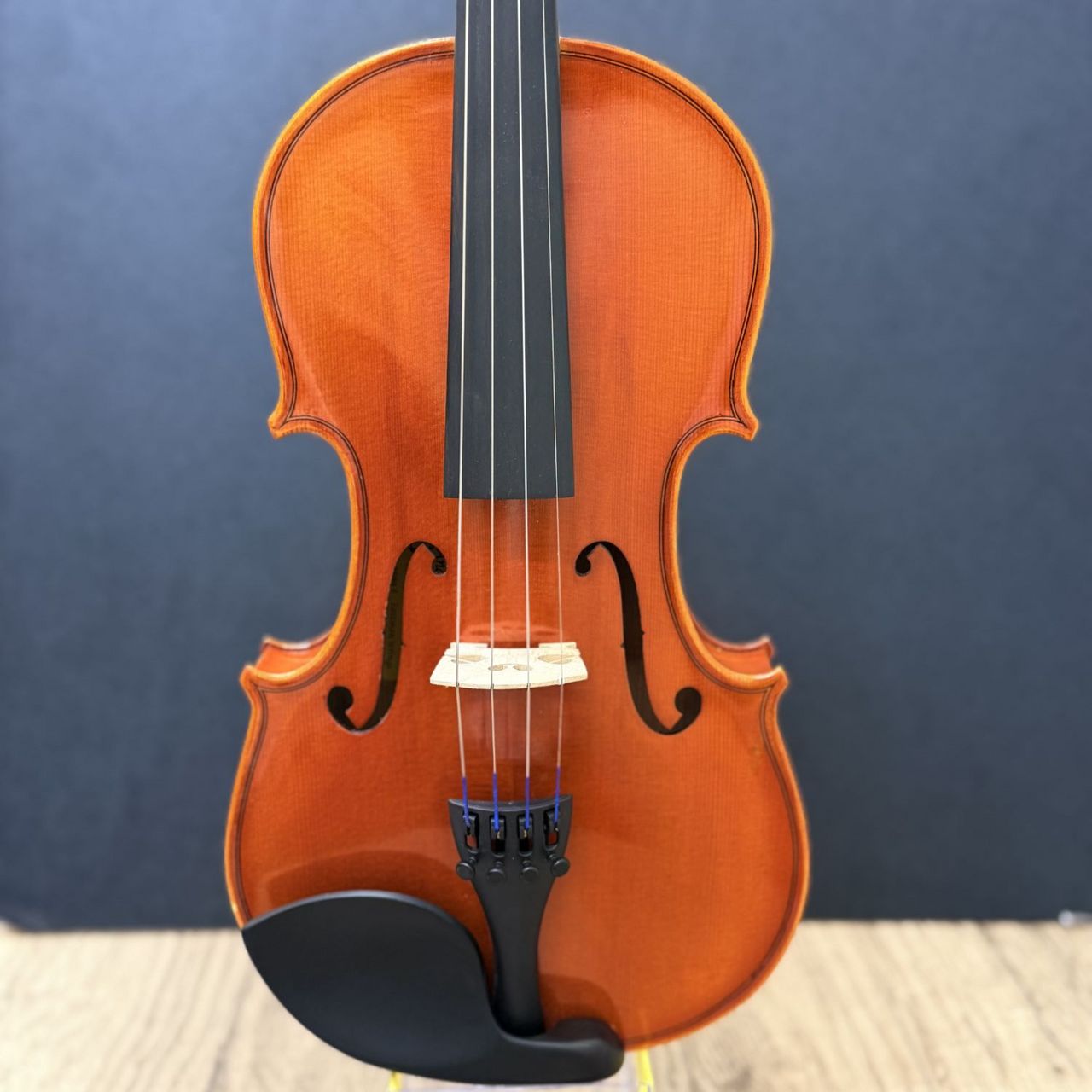 Eastman SVL80セット 4/4 バイオリン 初心者セット 【マイスター Eastman SVL80セット 4/4 バイオリン 初心者セット 【マイスター
