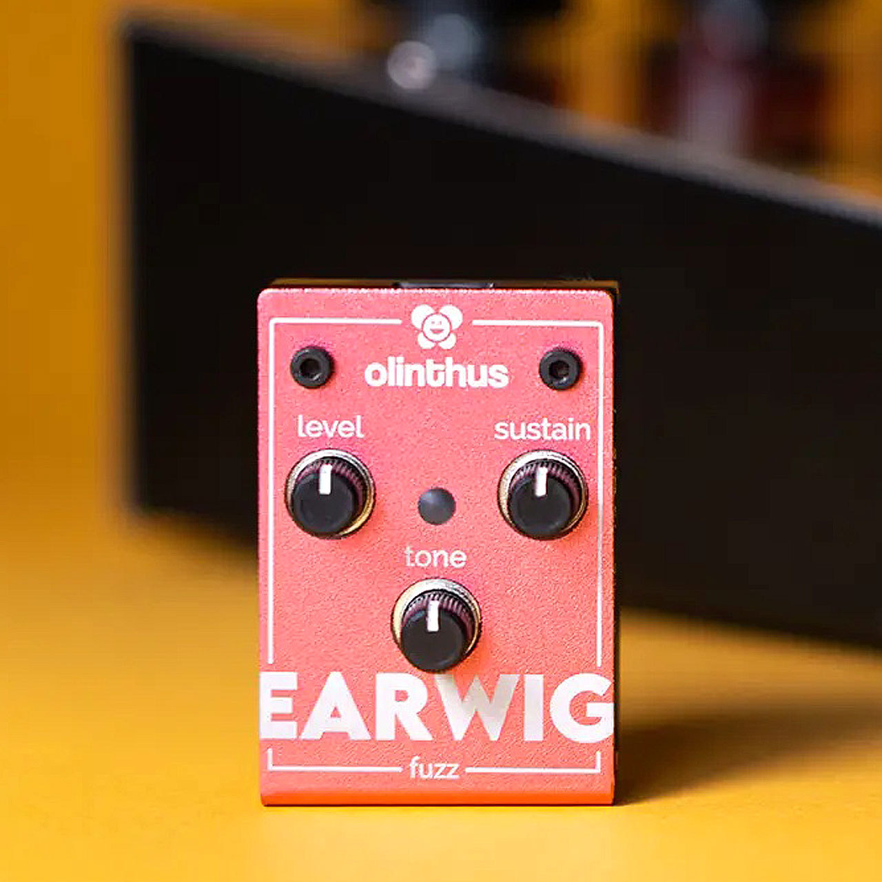 Olinthus Earwig【即納可能】（新品/送料無料）【楽器検索デジマート】