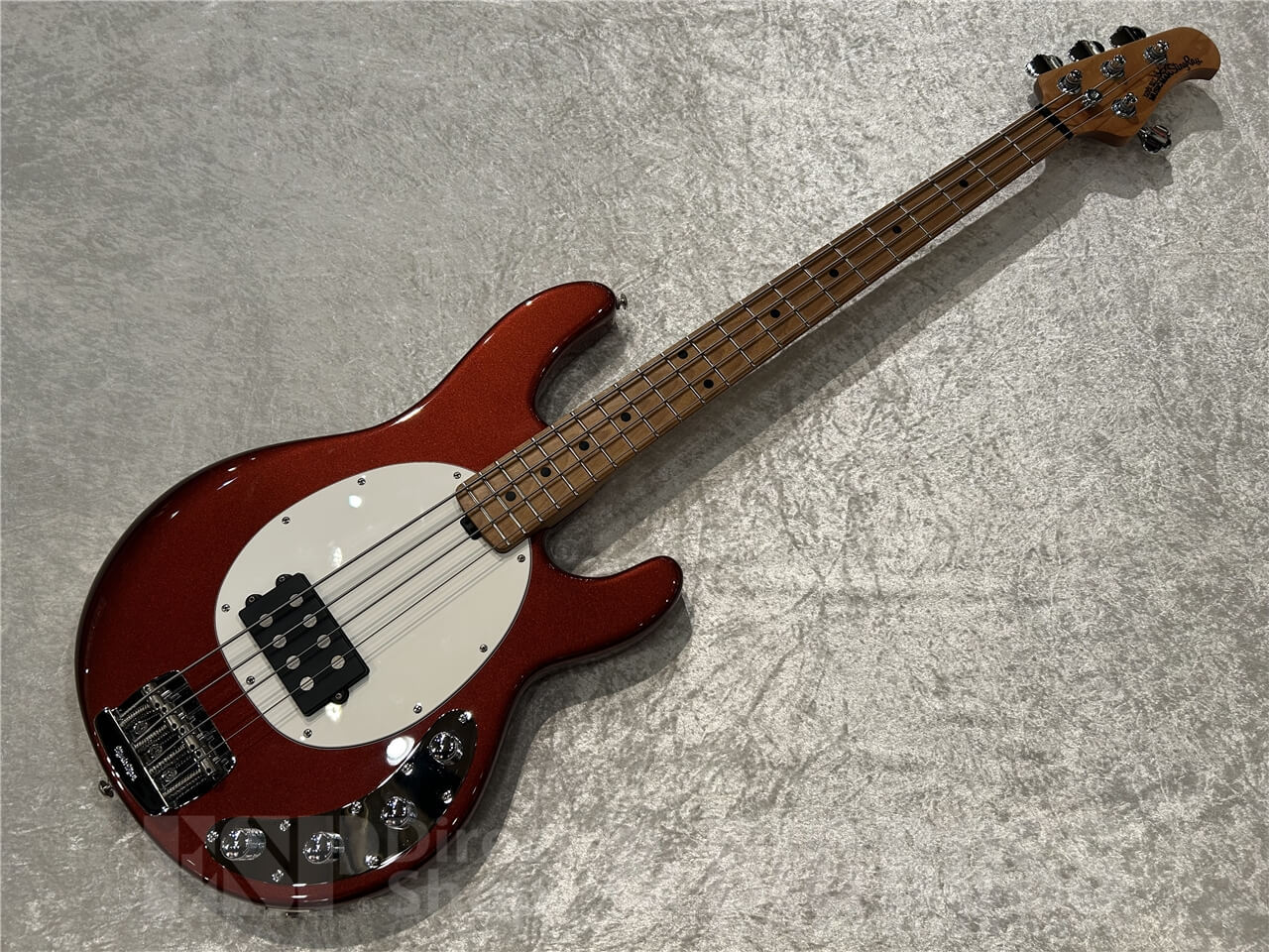 【限定品】スティングレイ〜2006 limited edition〜 MUSICMAN STINGRAY SPECIAL」の人気商品一覧 | 安い商品を通販サイト