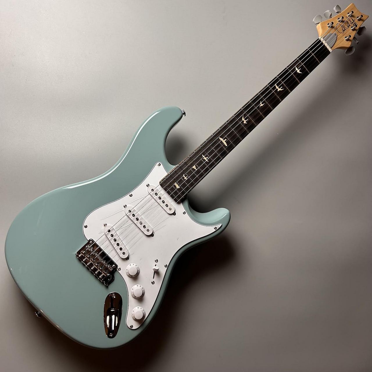 Paul Reed Smith(PRS) 【現物画像】【3.50kg】SE Silver Sky Stone