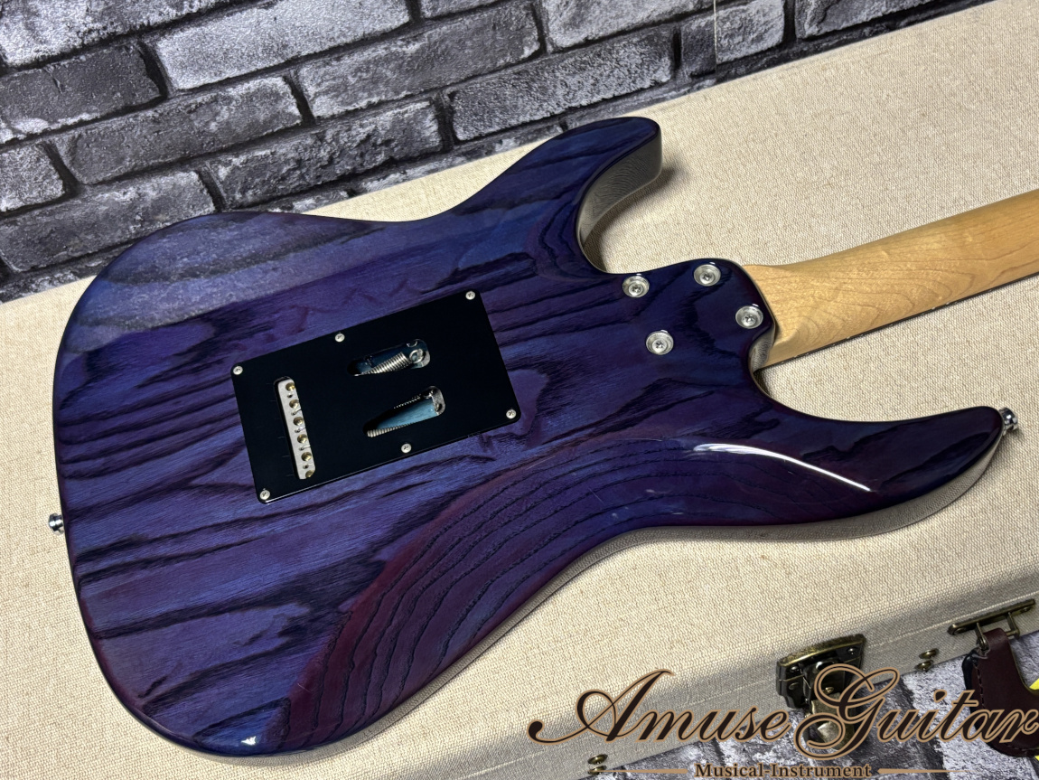 VELLMOR GUITARS VSC Custom 2010年代製【Practical Customization