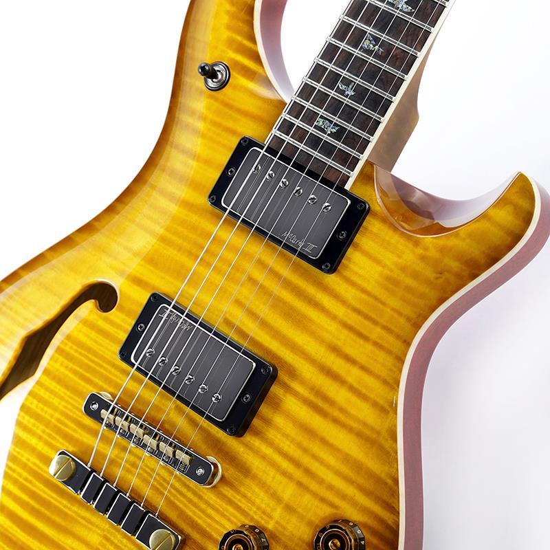 Paul Reed Smith(PRS) Wood Library McCarty 594 Semi-Hollow (McCarty