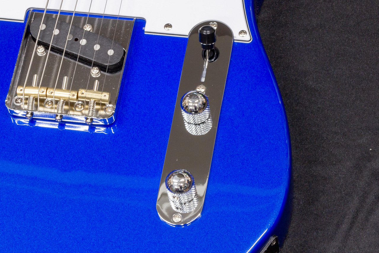 FUJIGEN(FGN) BCTE100RBD-MBL/01 C240281 3.33kg【TONIQ横浜