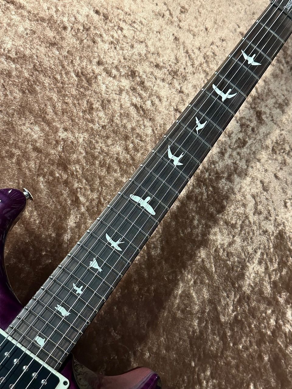 Paul Reed Smith(PRS) S2 Custom24 -Faded Gray Black Purple