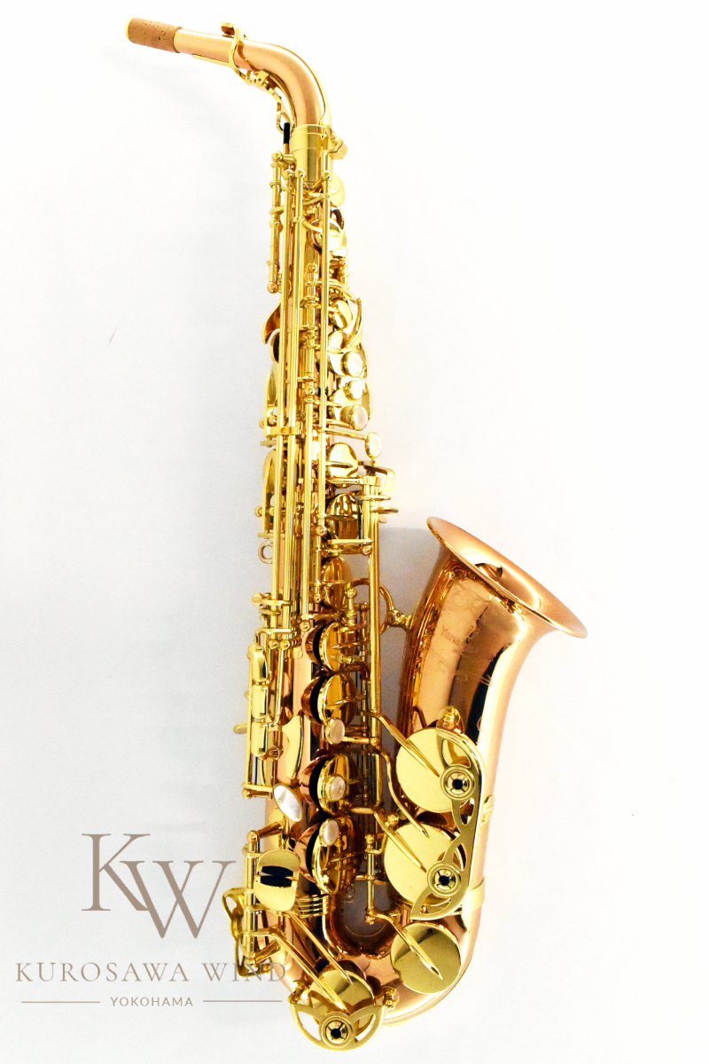 YANAGISAWA A-WO20 