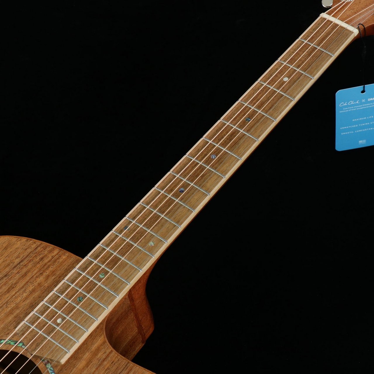 Cole Clark 《特典付き》AN Grand Auditorium CCSAN1EC-BLBL All