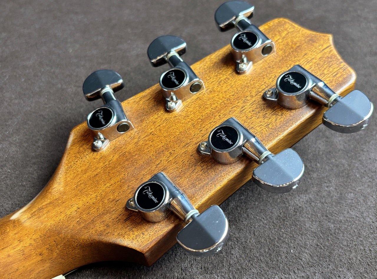TAKAMINE TSA500 アコースティックギター Takamine タカミネ TSA500 アコースティックギター 美品