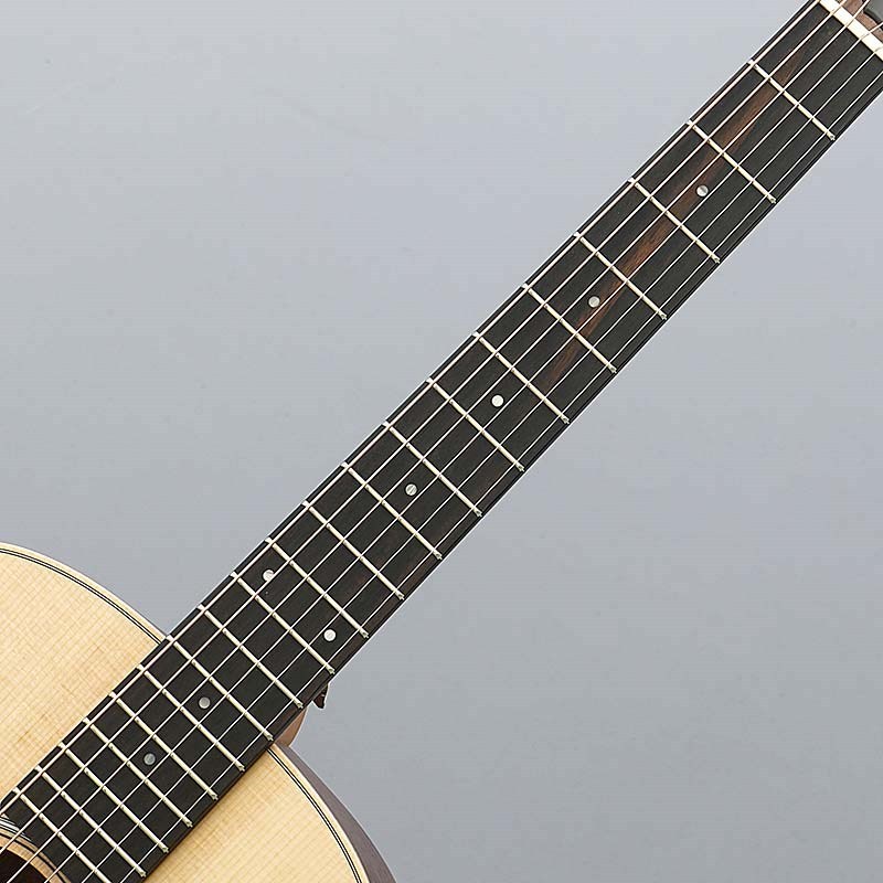 Taylor GS Mini Rosewood 【数量限定特価】（新品特価）【楽器検索