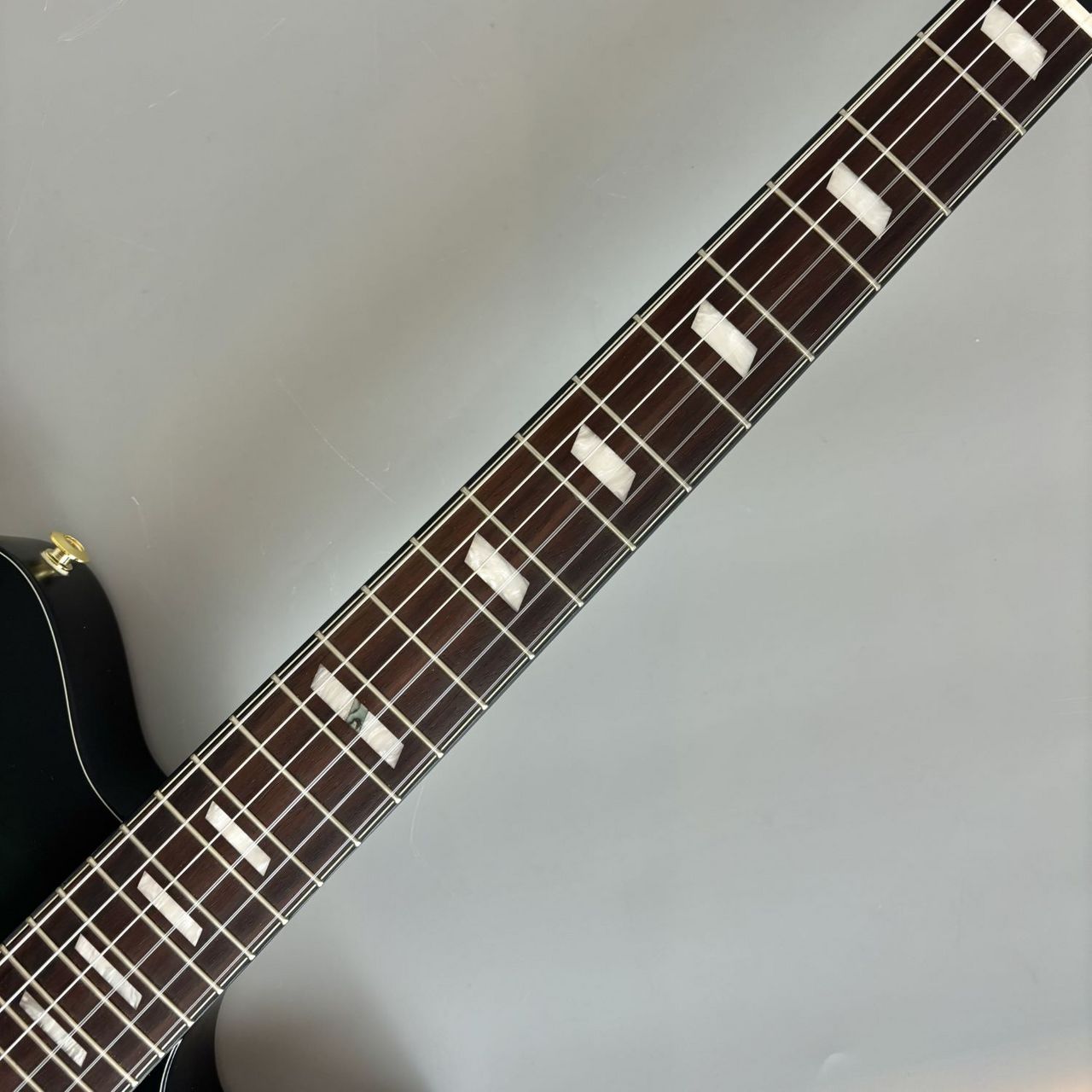 Ibanez FRH20FMN エレガットギター（新品/送料無料）【楽器検索