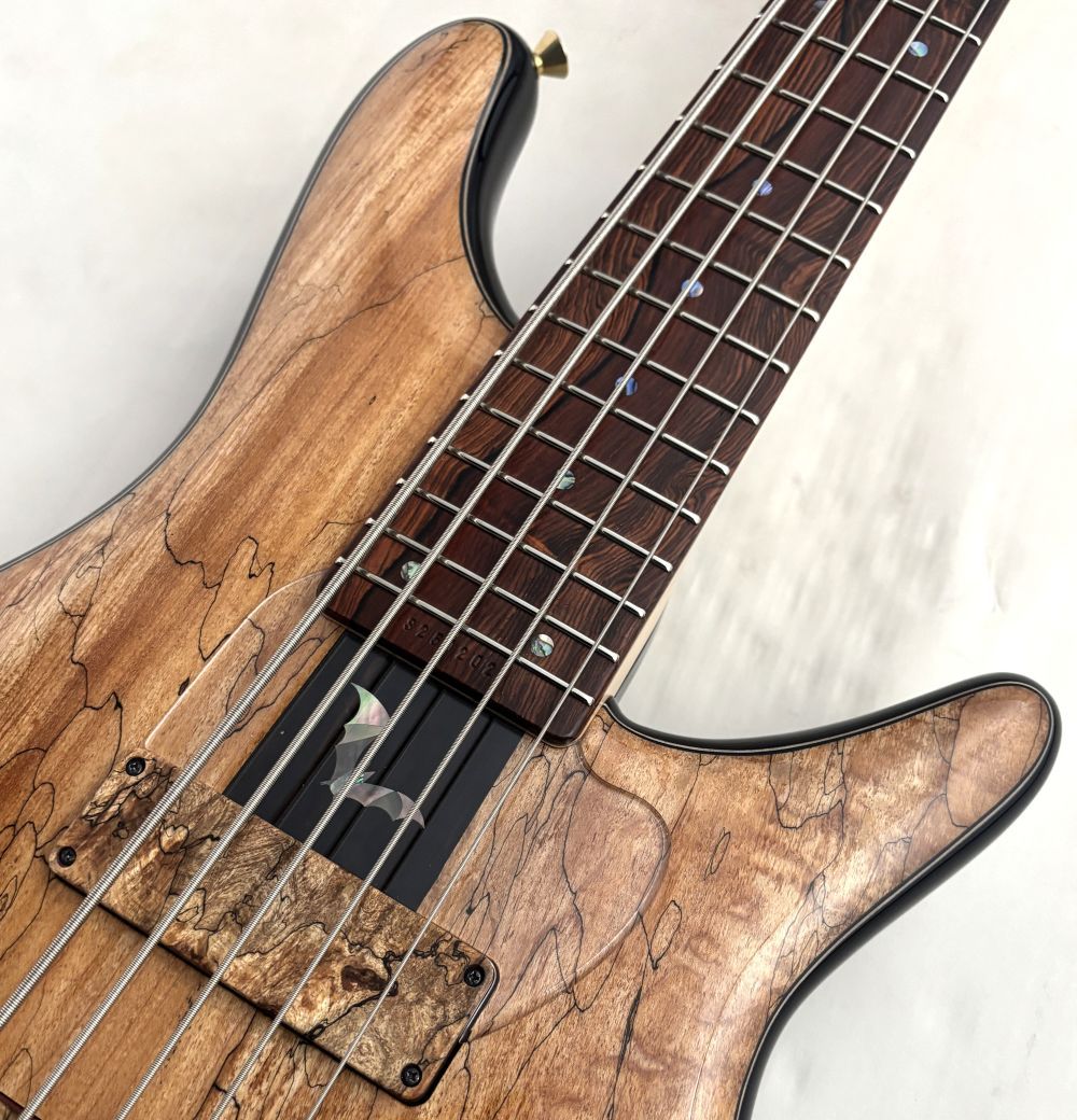 Sugi NB5C HH SPL ASH 5弦ベース パッシブ 24フレット Sugi NB5C SPL1P/ASH2P HH NAT/BLK【USED】（中古）【楽器検索デジマート】