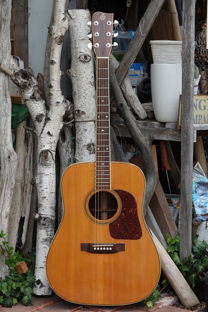 【本物新品保証】 Takamine Elite TW-30（ビンテージ）【楽器検索デジマート】 ギター