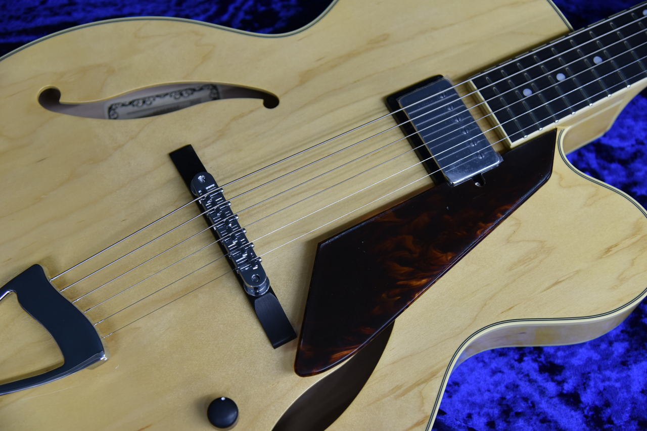 フルアコAriaProⅡ フルアコAriaProⅡ