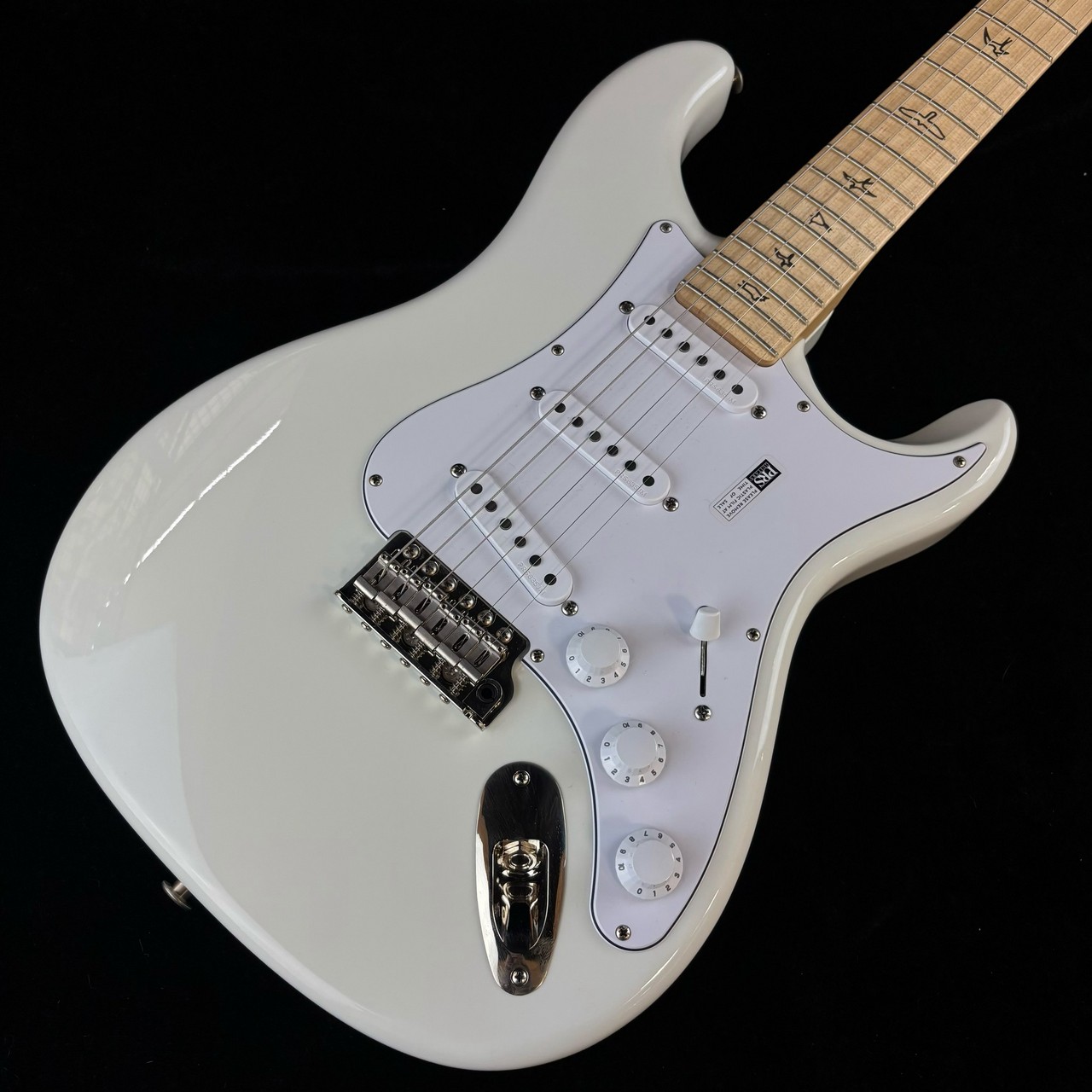 Paul Reed Smith(PRS) SILVER SKY Maple FB Frost（新品/送料無料