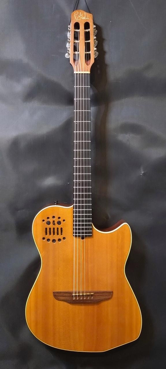Godin Multiac Series RG Midi Steel 1995（中古）【楽器検索