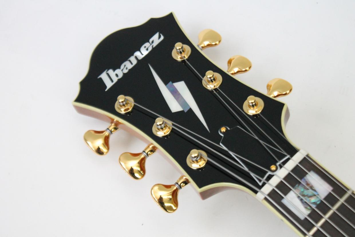 Ibanez PM200 / パットメセニー シグネチャーモデル（新品/送料無料
