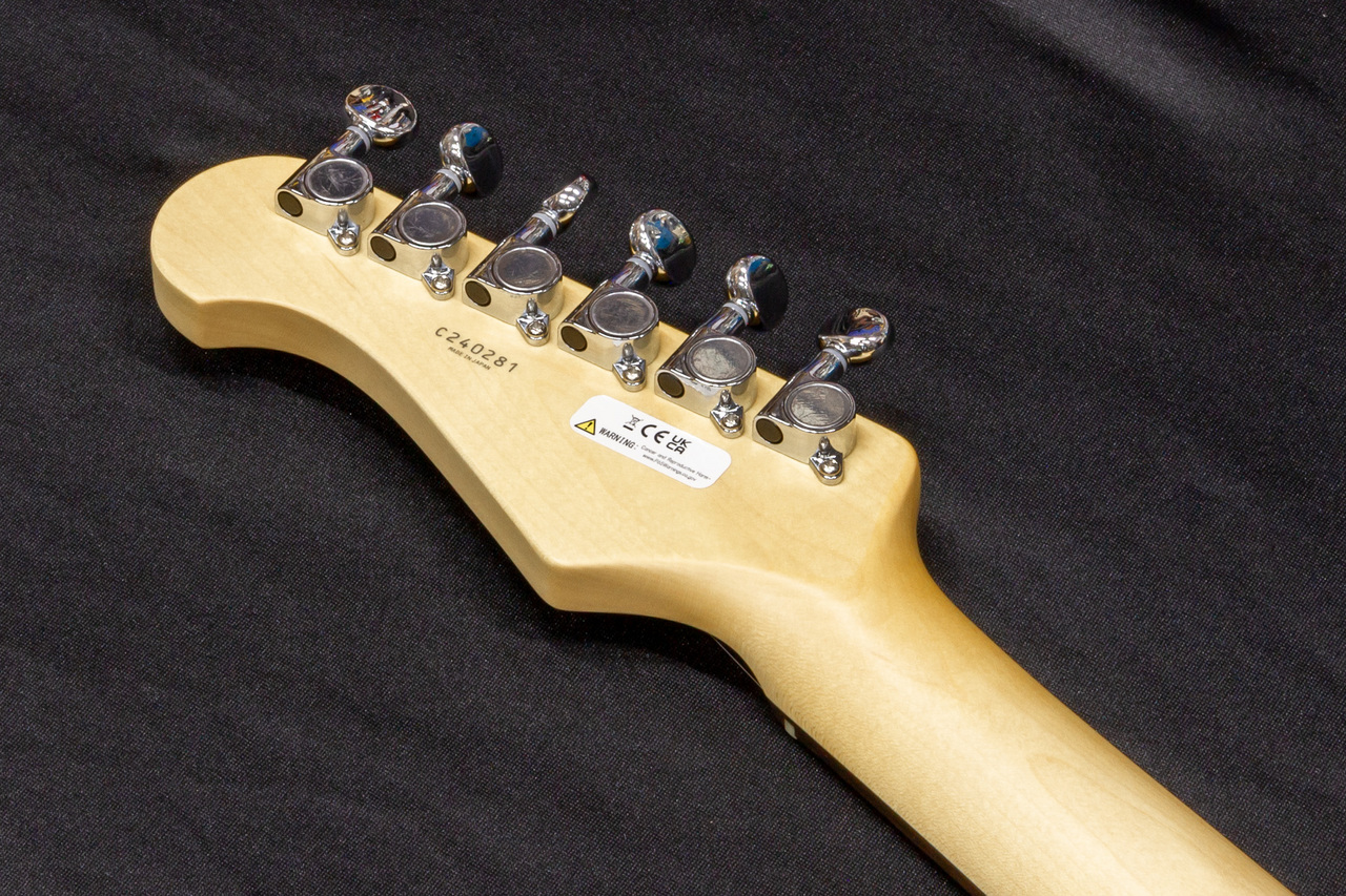 FUJIGEN エレキギター　BCTE100RBD-MBL/01 FUJIGEN テレキャスタイプ エレキギター Basic Classic