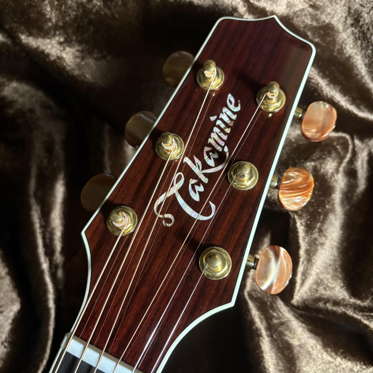 Takamine DMP50S WR（ワインレッド）【現物画像 / 当社限定モデル