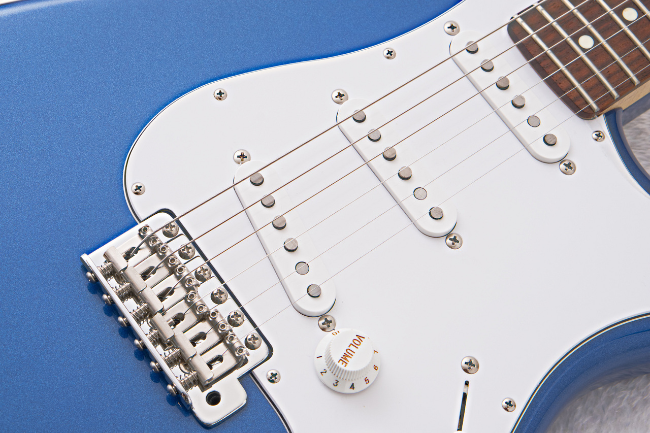 FUJIGEN(FGN) BCST100RBD -Metallic Blue -【3.33kg】【初心者オススメ