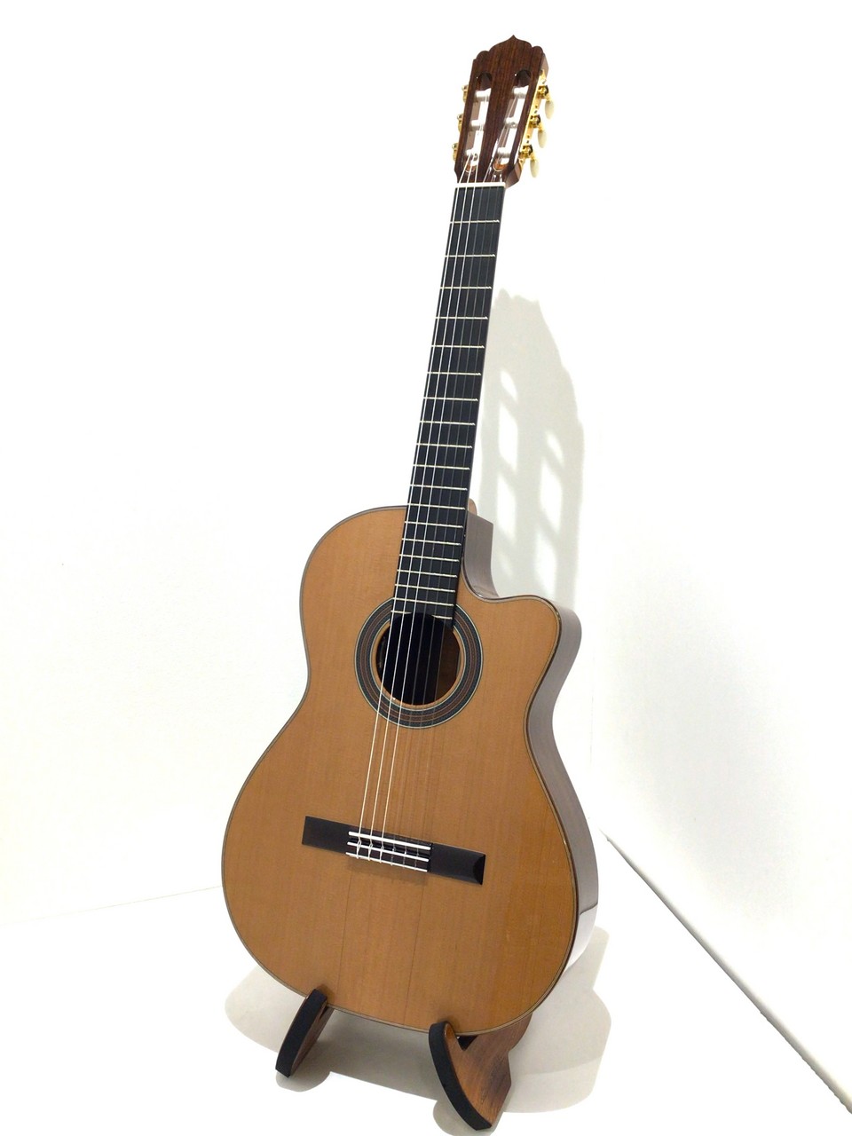 アストリアス　ビンテージC 60周年記念モデル第三弾 Renaissance Vintage C - ASTURIAS