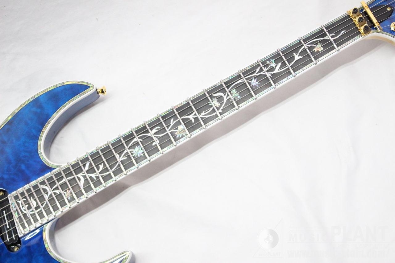 EDWARDS E-CY-CTM DNBL（新品/送料無料）【楽器検索デジマート】