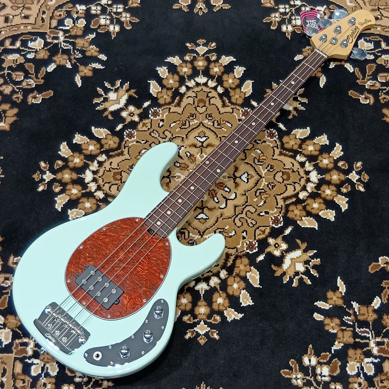 Sterling by MUSIC MAN SBMM RAY24CA-MG-R1（新品特価/送料無料