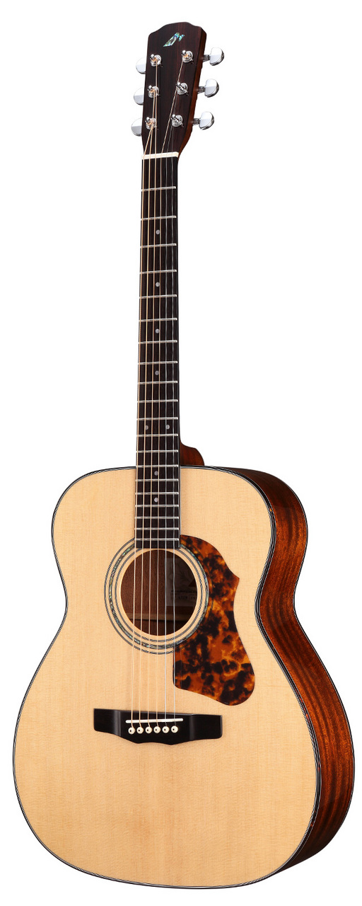 Morris F-LTD 2 NAT（新品/送料無料）【楽器検索デジマート】