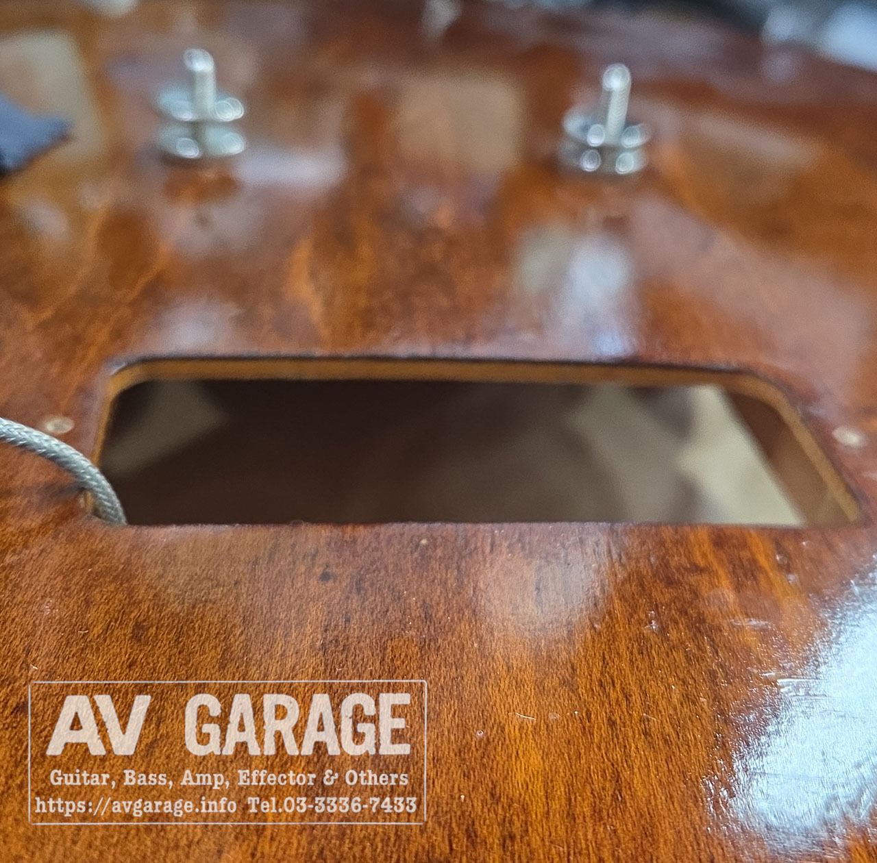 KING SNAKE Swamp Dirty Walnut 2020年代フジゲン製（中古）【楽器検索