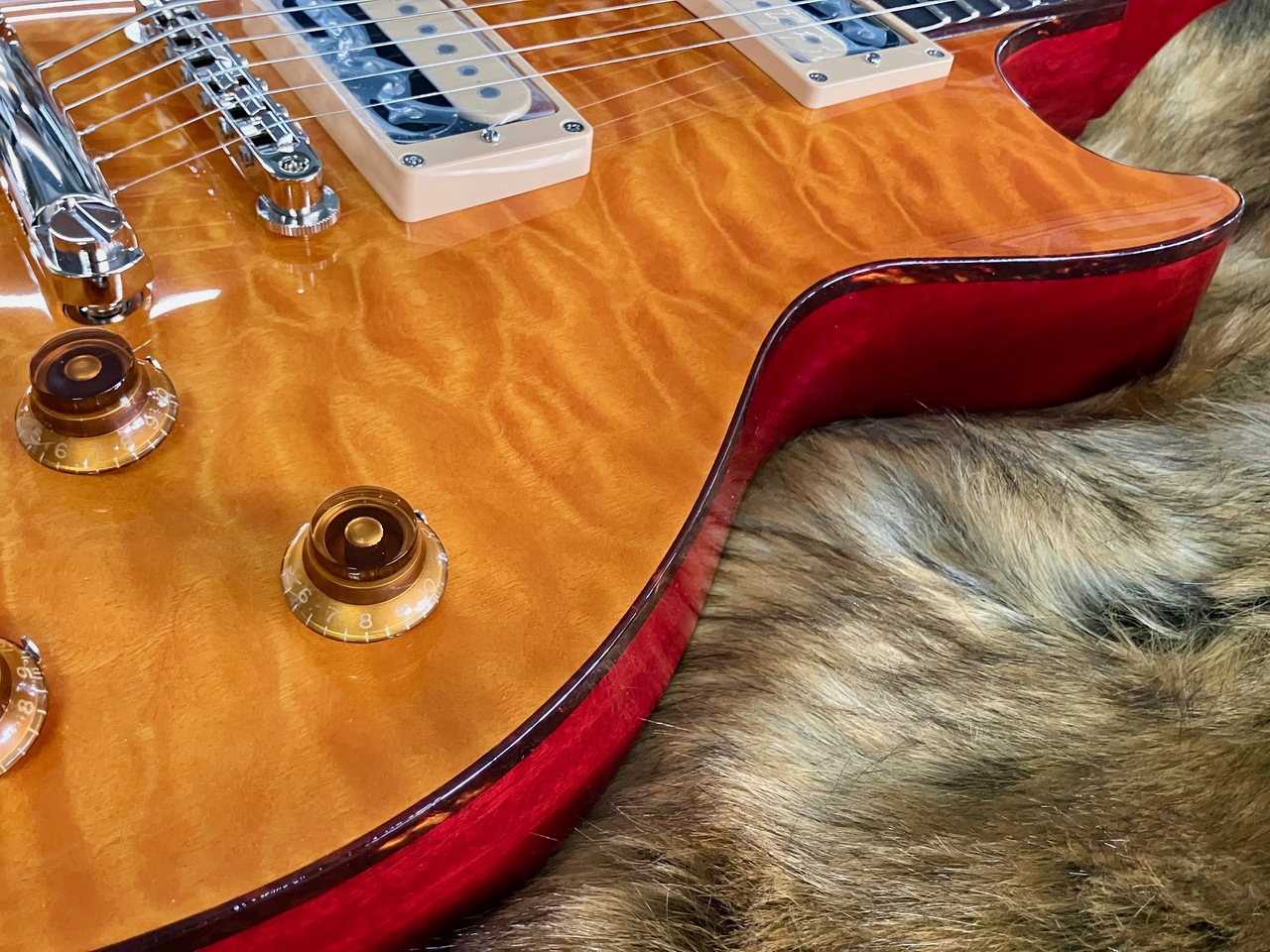 Tokai LS-101QZ TK【清水巴町本店】（新品特価）【楽器検索デジマート】