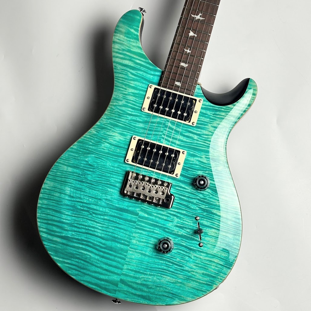 Paul Reed Smith(PRS) SE CUSTOM 24（Sapphire）（新品/送料無料