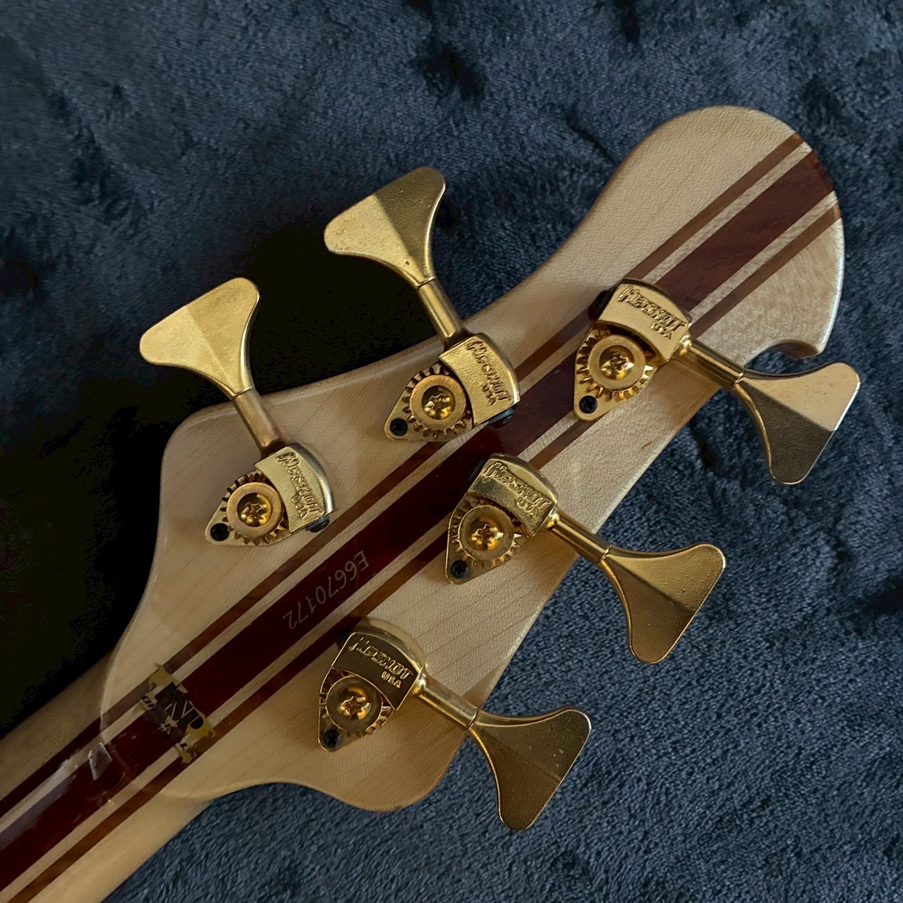 ESP STREAM-24NTB-SL5/Ash（中古）【楽器検索デジマート】