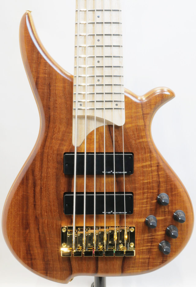 Tune TWB-6 EX Hawaiian Koa（新品）【楽器検索デジマート】