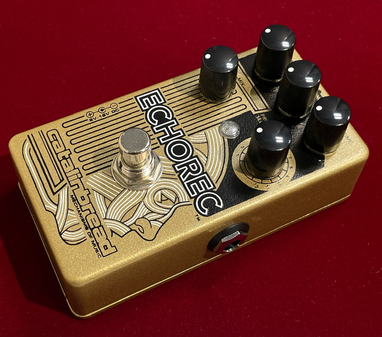 CATALINBREAD (カタリンブレッド) ギター用エフェクター Echorec