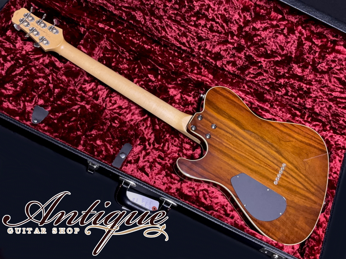 Asher Guitars Master Series T Deluxe Violin Burst /T-Swamp