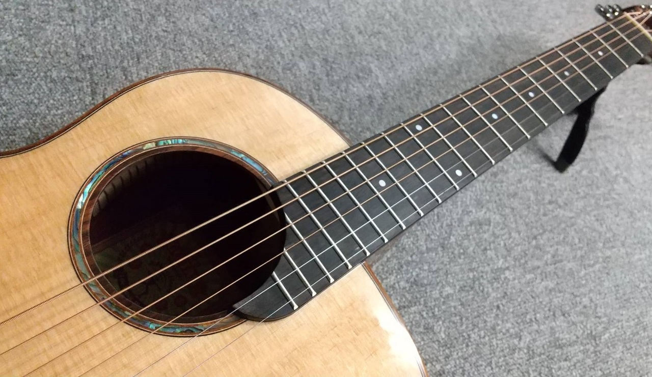 aNueNue Bird Guitar Series Solid Stika Acacia Gloss / aNN-M52 