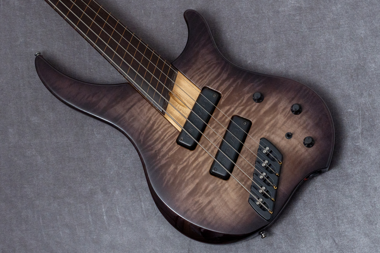 DINGWALL Afterburner I 5-string Fretless 3.7kg #3571【GIB兵庫】（中古/送料無料）【楽器 ...