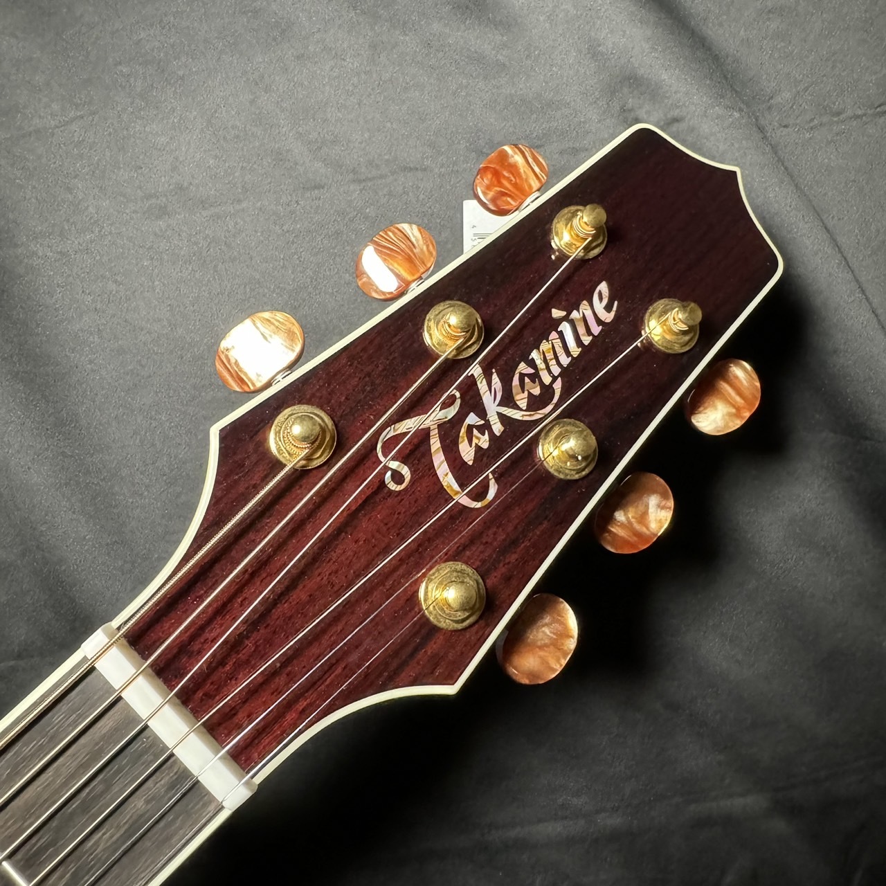 Takamine DMP50S WR エレアコギター セミハードケース付属 【島村楽器 