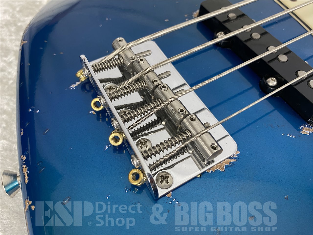 T.S factory BIGBOSS collaboration model JB BZF SP Edition(Lake