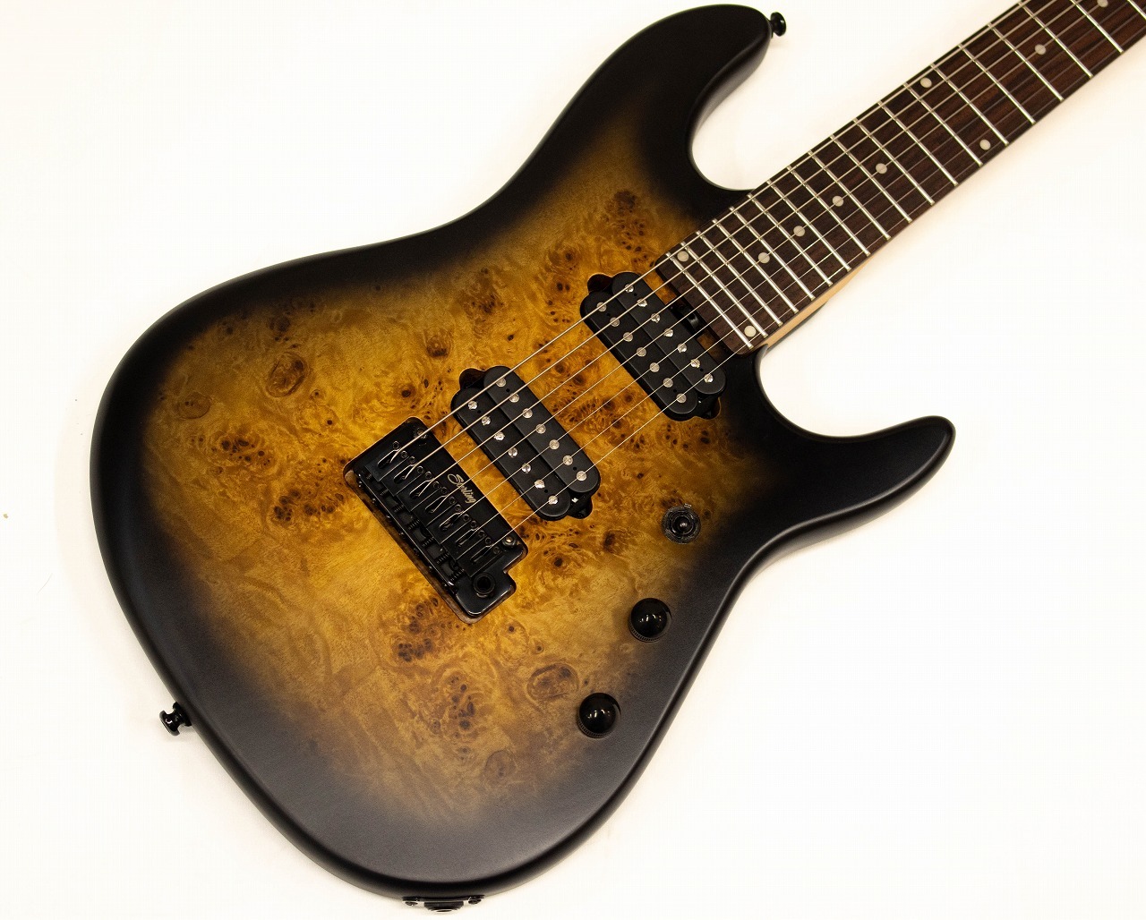 Sterling by MUSIC MAN Richardson7 Natural Poplar Burl Burst（新品