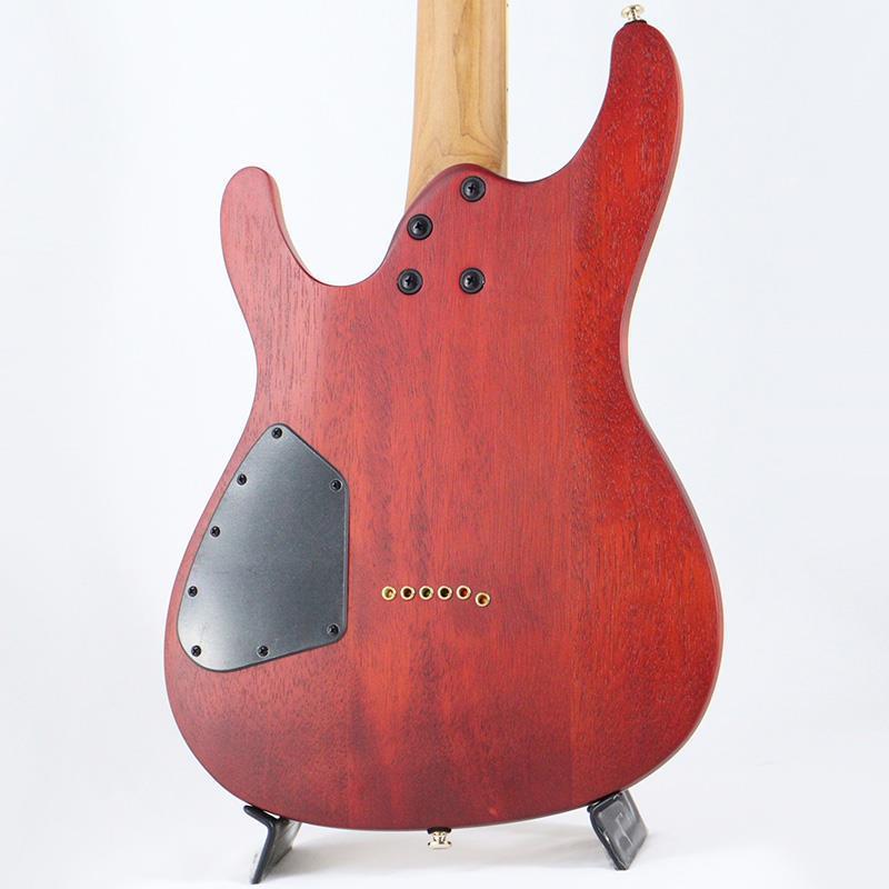 Ibanez SEW761FM-NTF (Natural Flat)（新品）【楽器検索デジマート】