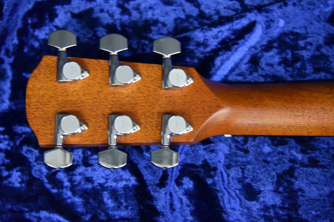 K.Yairi RF-65 N（新品）【楽器検索デジマート】