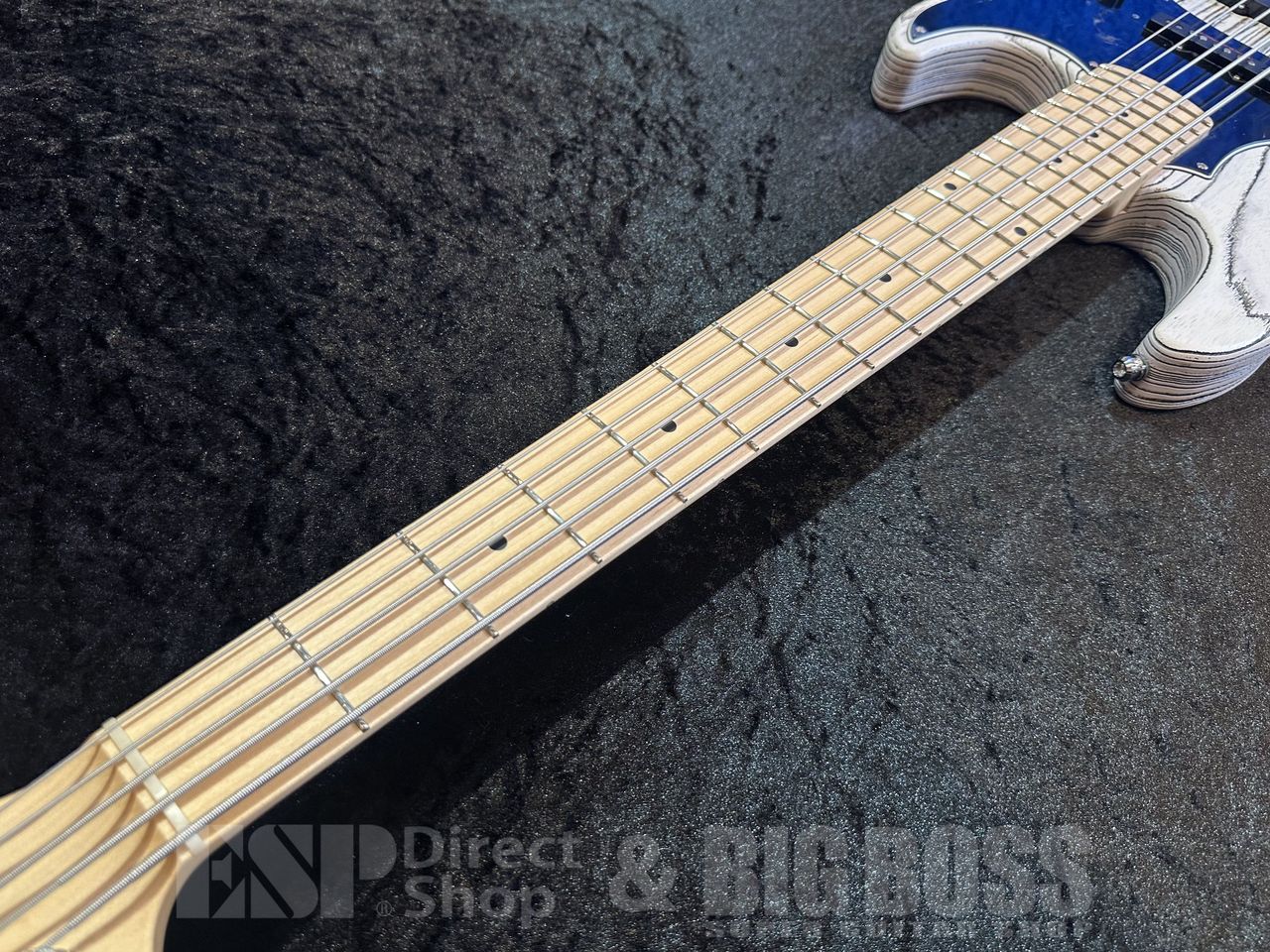 ESP AMAZE-AS-5 【Driftwood White w/Black Filler】（新品/送料無料